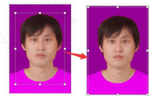word照片底色怎么改成蓝色