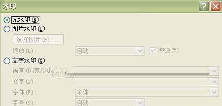 word2007水印制作教程