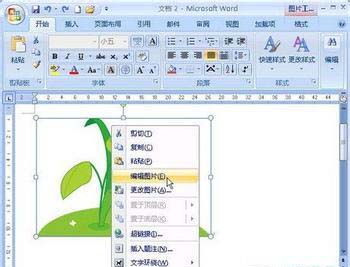word2007图片倒影效果