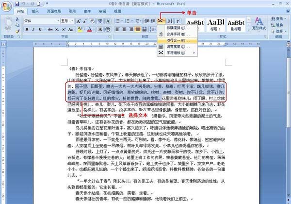 word中双行合一的操作过程