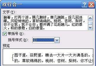 word中双行合一的操作过程