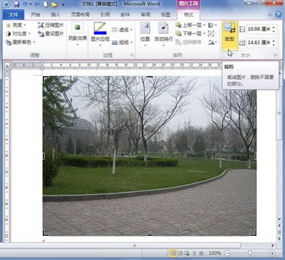 word2010中裁剪图片的方法有