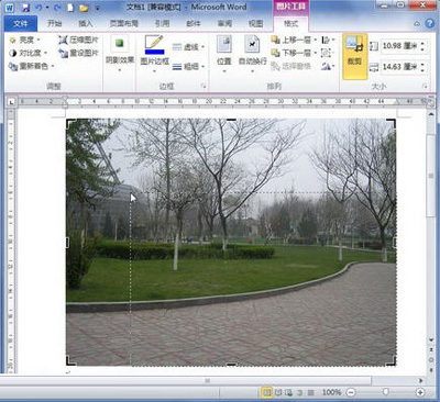 word2010中裁剪图片的方法有
