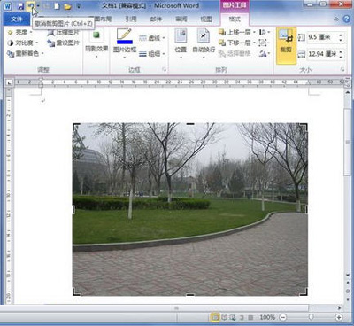 word2010中裁剪图片的方法有