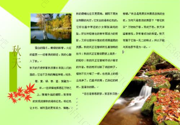 word文字排挡