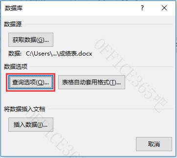 怎样在word表格中筛选数据