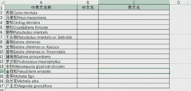 excel怎么快速填充函数
