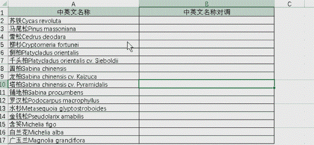 excel怎么快速填充函数